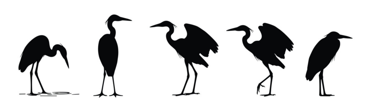 Heron and Wading Bird Silhouette Set &mdash; Standing, Hunting, Spreading Wings Great Blue Heron Black Vector Illustration