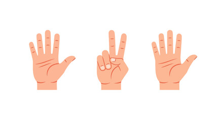 Obraz premium Three hands displaying counting gestures in flat design