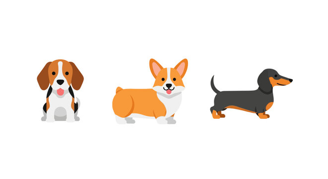 Cute cartoon dogs collection: beagle corgi dachshund in colorful
