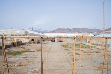 Fototapeta premium landscape intensive farming dry agriculture greenhouse invernaderos mountain old agriculture structure metal - Poniente Almeriense - Abdera, Almería, Spain - 2025