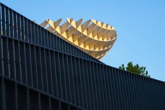 city minimal design summer travel abstract urban cityscape element modern architecture tree - Metropol Parasol (Setas de Sevilla, Las Setas) - Seville, Andalusia, Spain - 2025