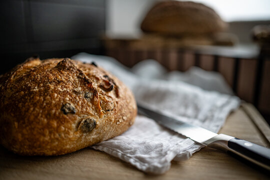 Artisanal olive bread cut
