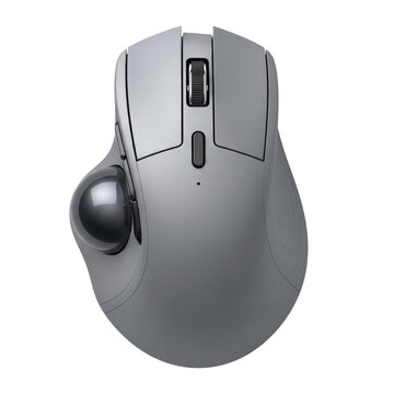 Ergonomic computer mouse with trackball