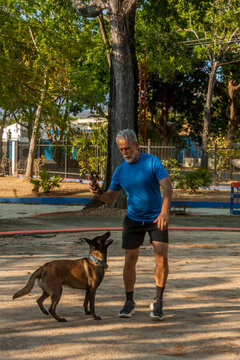 Active senior man training Belgian Malinois dog with tug toy in outdoor park