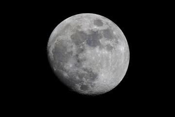 Fototapeta premium Moon Waxing Gibbous 93% - 241E4404