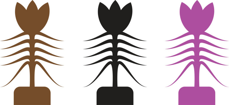 Colorful fishbone silhouette trio isolated on transparent background a modern graphic design element