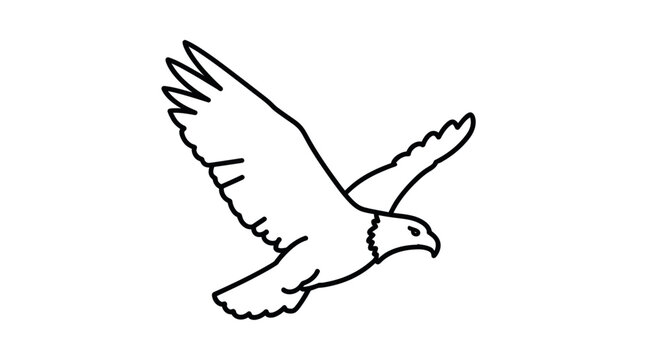 Minimalist Line Art of a Soaring Eagle in Flight, Black and White Outline