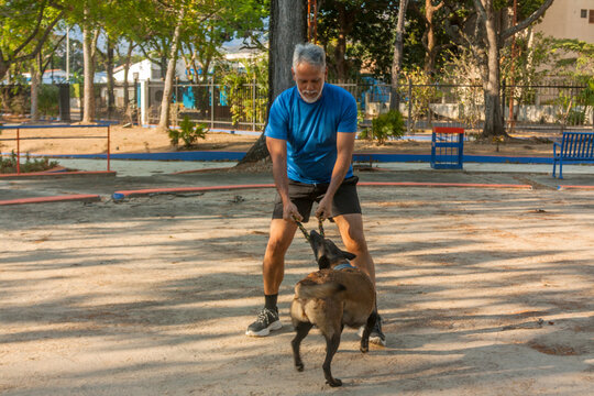 Active senior man training Belgian Malinois dog with tug toy in outdoor park