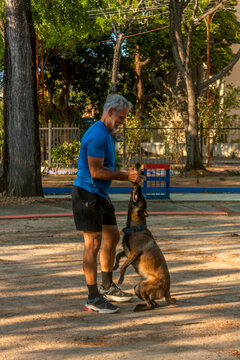 Active senior man training Belgian Malinois dog with tug toy in outdoor park