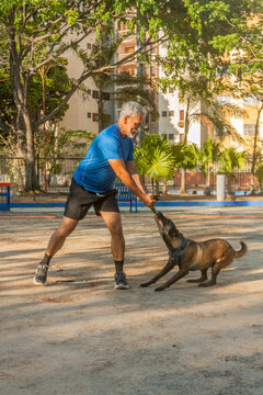 Active senior man training Belgian Malinois dog with tug toy in outdoor park
