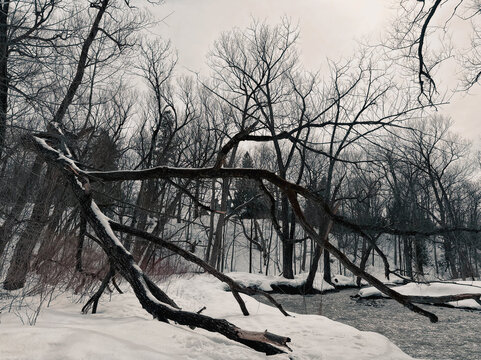 Paysage d'hiver avec une rivi&egrave;re gel&eacute;e et des arbres d&eacute;nud&eacute;s en for&ecirc;t. Paysage d'hiver avec des arbres bris&eacute;s et enneig&eacute;s et un ruisseau en for&ecirc;t. Qu&eacute;bec, Canada.