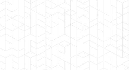 White minimalist geometric pattern with abstract thin gray lines