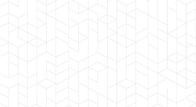 White minimalist geometric pattern with abstract thin gray lines