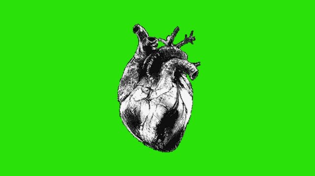 Heart animation on green screen