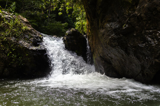 Tropical rainforest landscape featuring a waterfall in the Venezuelan Caribbean.