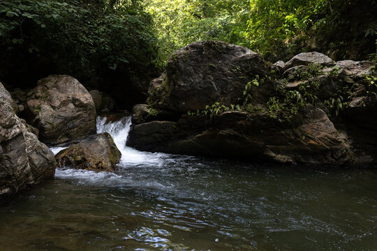 Lush tropical rainforest landscape with a fresh river stream in the Caribbean coast of Venezuela