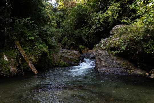Lush tropical rainforest landscape with a fresh river stream in the Caribbean coast of Venezuela