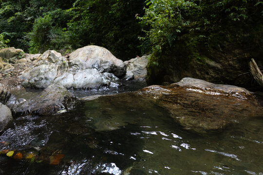 Lush tropical rainforest landscape with a fresh river stream in the Caribbean coast of Venezuela
