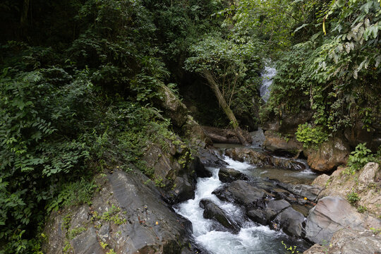 Lush tropical rainforest landscape with a fresh river stream in the Caribbean coast of Venezuela