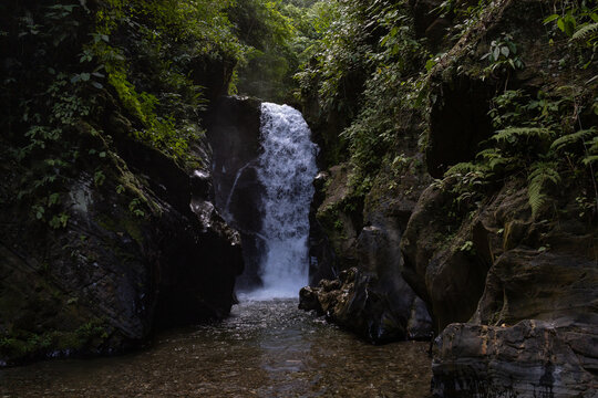 Lush tropical rainforest landscape with a fresh river stream in the Caribbean coast of Venezuela