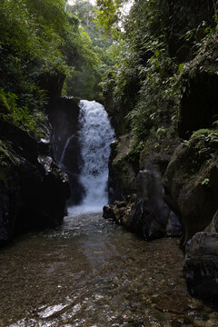 Tropical rainforest landscape featuring a waterfall in the Venezuelan Caribbean.