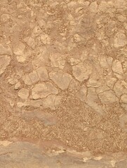 Close-up of cracked desert ground in the Sossusvlei salt pan, Namibia, showcasing striking natural patterns formed by extreme drought and heat.  © Thomas