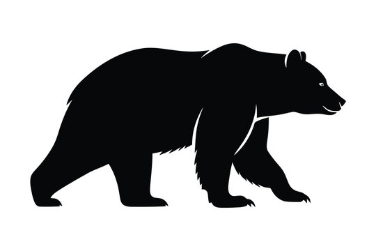 Black silhouette of a bear walking on all fours