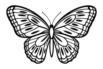 Fototapeta premium Title intricate black and white butterfly illustration a detailed wing pattern description a highly detailed black and white line drawing of a