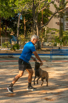 Active senior man training Belgian Malinois dog with tug toy in outdoor park
