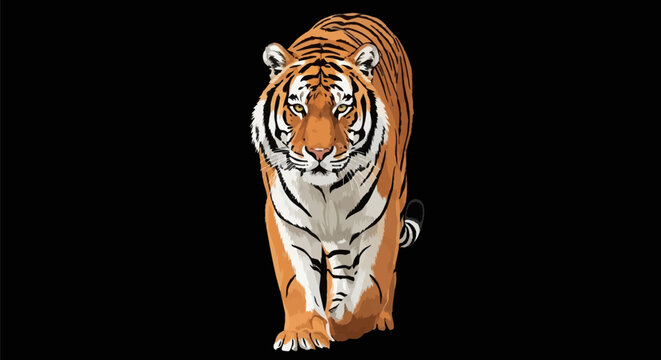 Front view vector illustration of a Bengal tiger walking forward on a black background, featuring detailed orange fur, black stripes, white markings, and intense yellow eyes.