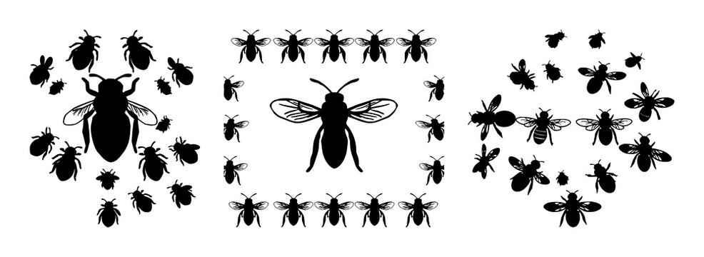 Bee cluster set with solid black icon on white background featuring bees, swarm, intelligence with icon design and vector illustration