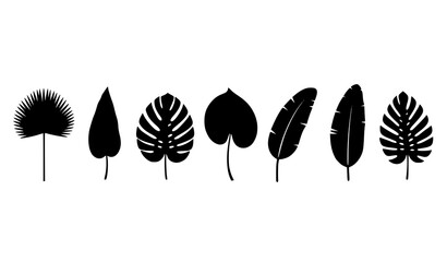 Tropical leaf silhouettes in horizontal row black botanical vector collection isolated on white background © MDMunna