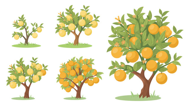 Four vibrant fruit trees with apples, oranges, and lemons growing in a garden setting