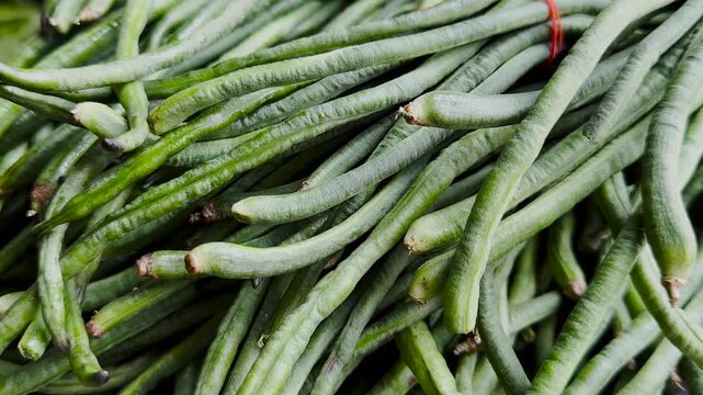 Fresh long bean vegetables, tied long bean vegetables ready for sale, Video close up.