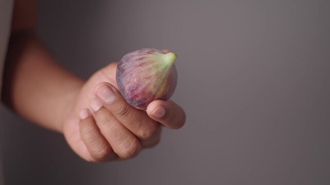 Woman holding fresh organic fig fruit in hands against neutral background studio lighting.