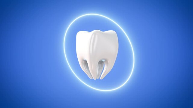 White healthy molar tooth 3D animation