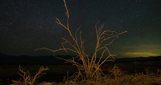Death Valley Night Sky Tree Stars Meteor Shower 4K Timelapse
