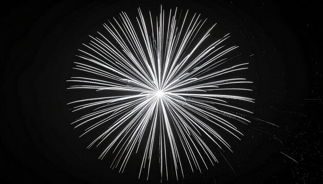 漆黒の空に広がる均整のとれた白銀の菊花火