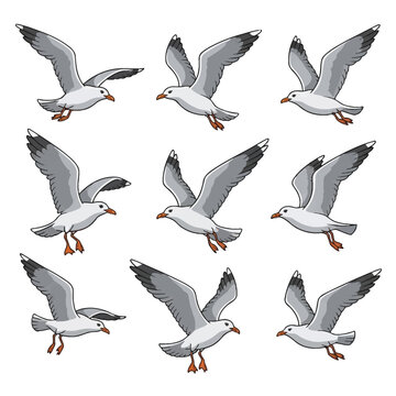 Collection of nine cartoon-style seagull illustrations in different flying positions, featuring grey wings, white bodies, and orange beaks, isolated on a white background.