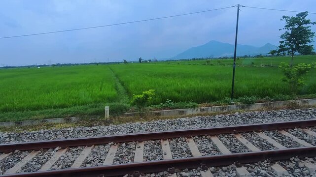 Slow-motion clip showing a train track, consisting of iron rails with concrete sleepers and a gravel stone base, amidst green rice paddies. Steady slow motion in 4K.