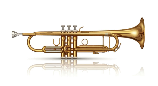 Realistic vector illustration of a polished gold brass trumpet musical instrument shown in side profile, isolated on white background with reflection, including mouthpiece and valves.