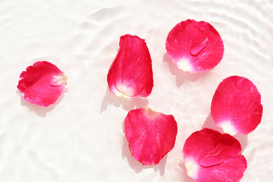 Red rose petals floating on crystal clear rippling water.