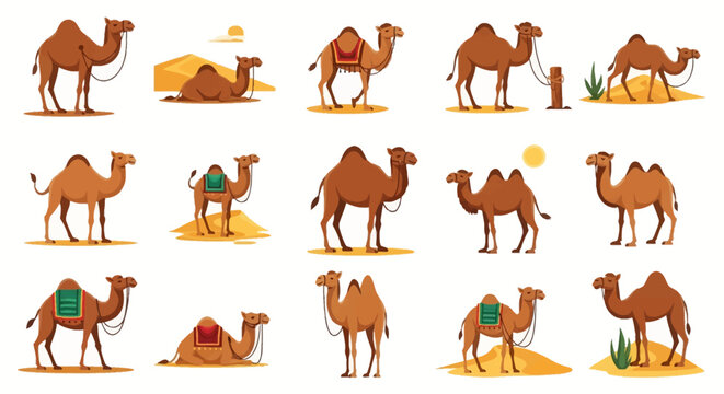 Collection of fifteen cartoon camel illustrations featuring dromedary and bactrian species in various poses like standing, sitting, and walking with saddles, desert dunes, sun, and desert flora.
