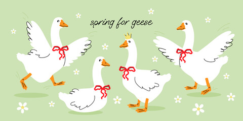 Spring for geese. Cute geese with a red bows in different poses, funny characters and flowers. Poster and print design, kids textile and nursery decor. Flat llustration on green background.  © ELENA_roses