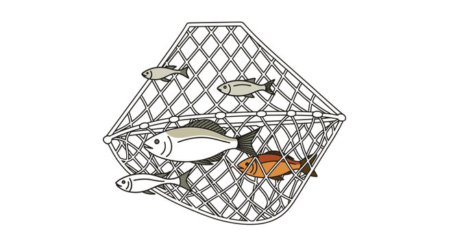 Fish trapped in a fishing net basket.