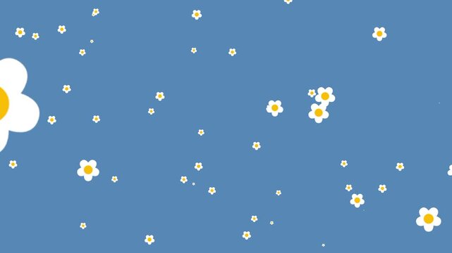 White and yellow tiny flowers are scattered like stars across a solid light blue background creating a soft and whimsical floral pattern for design