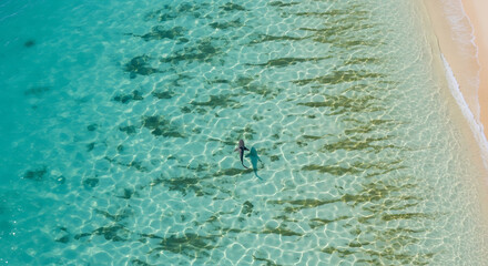 Fototapeta premium Aerial view of a person standing in shallow water