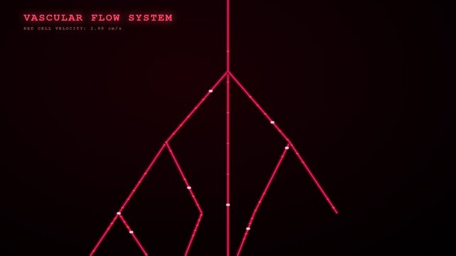 Observe the intricate Biometric Data Flow as red cells navigate a digital representation of the human vascular system.
