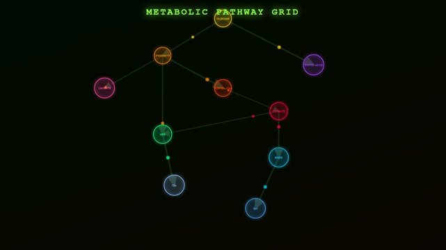 Abstract visualization of complex biological processes where a glowing Biometric Data Flow navigates through an intricate metabolic pathway grid, illustrating cellular energy production.