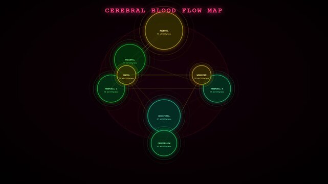 Illustrating vital brain functions, Biometric Data Flow mapping depicts cerebral blood perfusion across human brain regions with glowing digital graphics on a dark screen.